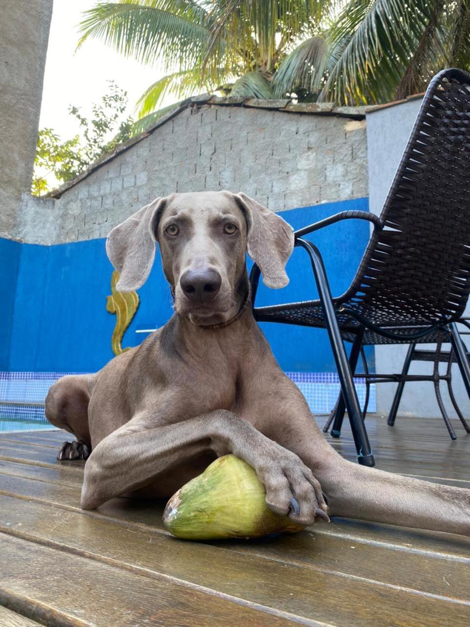 Casa Jaguar Buzios Suites A 3 Minutos Da Praia Geriba Búzios Exterior foto